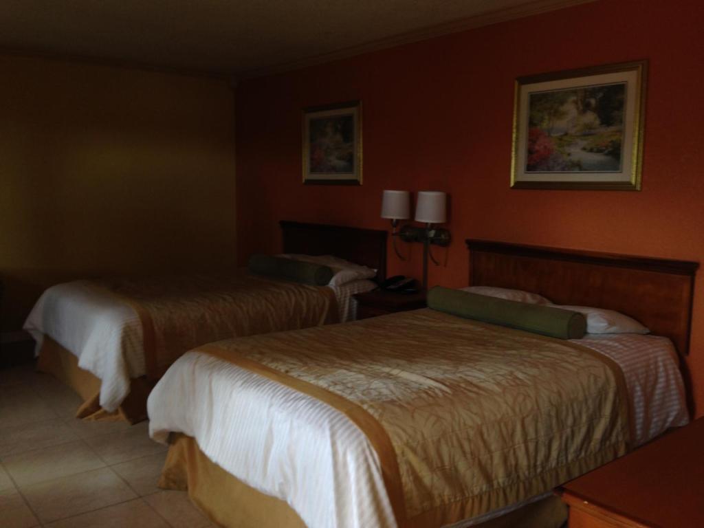 Americas Best Value Inn נורת' פורט חדר תמונה